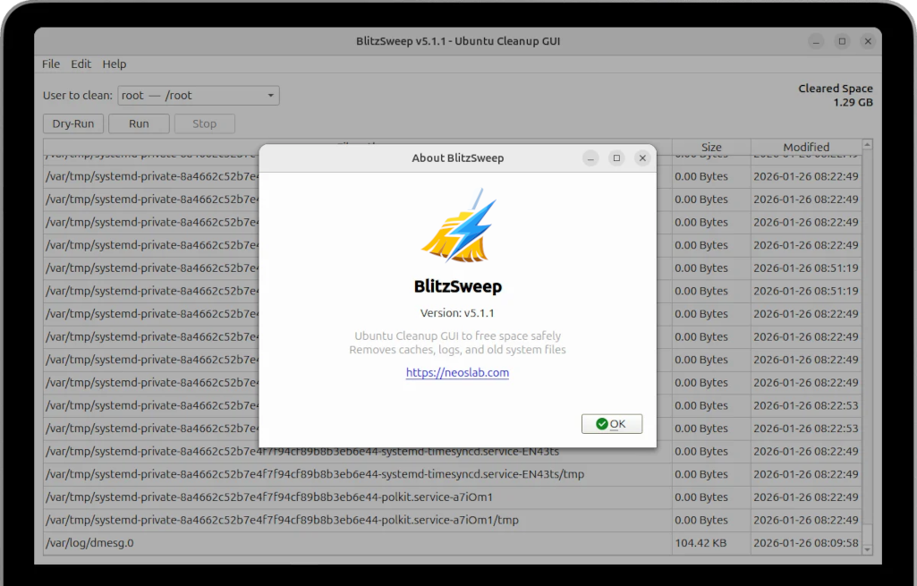 BlitzSweep GUI Interface showing cleanup options
