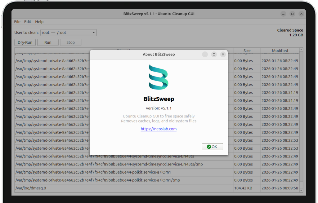 BlitzSweep GUI Interface showing cleanup options